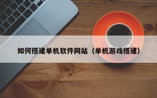 沙河如何搭建单机软件网站（单机游戏搭建）